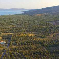 insel_drone insel_drone